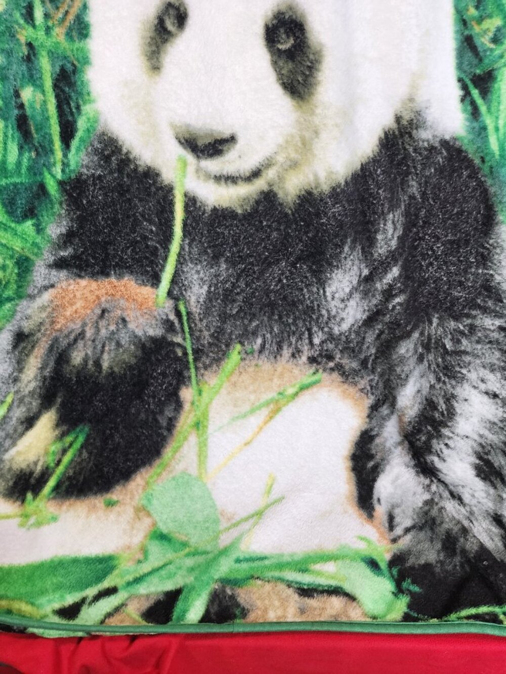 Unbranded Green White Black Brown SuperSoft Poly Fleece 45"x60" Panda Blanket - Picture 12 of 16